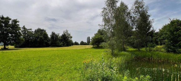 Terrain à Persenbeug-Gottsdorf, Austria No. 112530 7