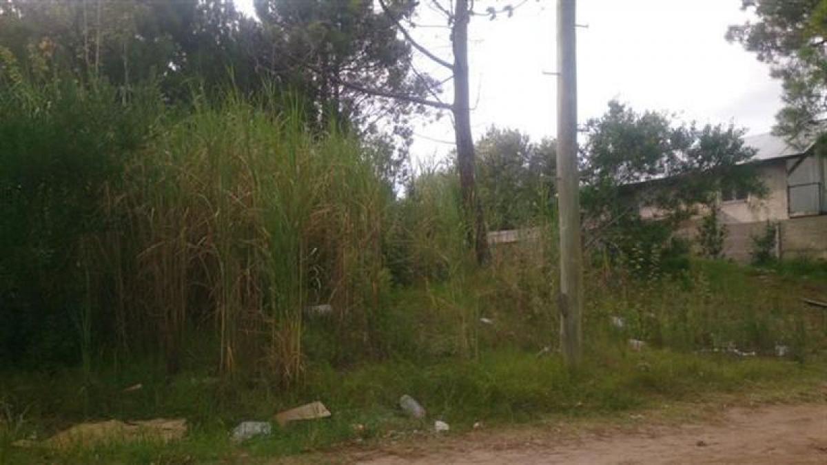  قطعة أرض في Mar del Plata, Argentina رقم 120485