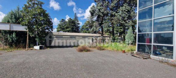 5160m² Warehouse in Calenzano, Italy No. 325322 8