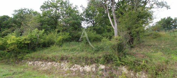  Land in Loir-et-Cher, France No. 84869 7