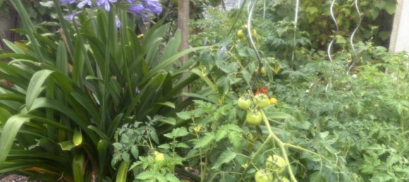 4 Schlafzimmer Haus in Le Blanc-Mesnil, France, Nr. 327038 19