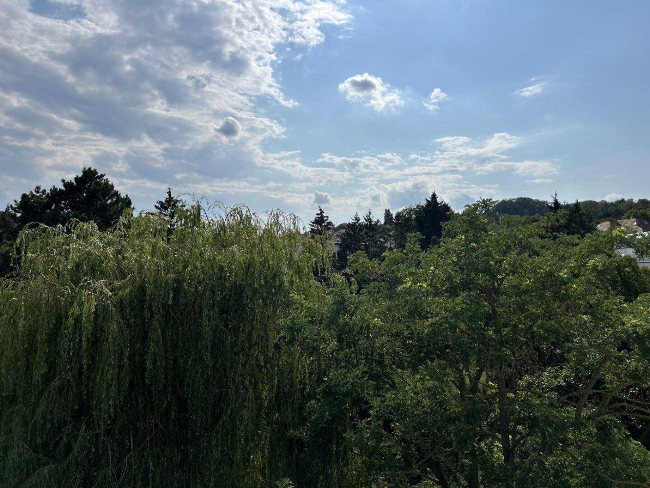 3 rooms House in Hietzing, Austria No. 208663