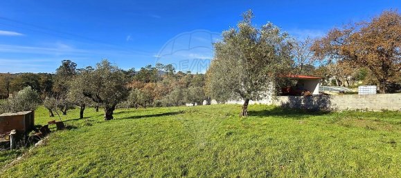 2 bedrooms House in Ansiao, Portugal No. 28055 15