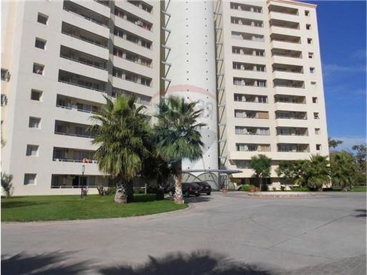 Studio in Mendoza, Argentina No. 53624