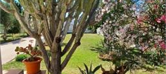 Villa T2 em Syracuse, Italy N.º 250460 9