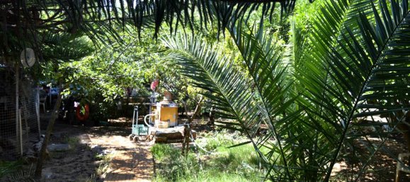 3 Schlafzimmer Gewerbliche Immobilie in Marathon, Greece, Nr. 6224 7