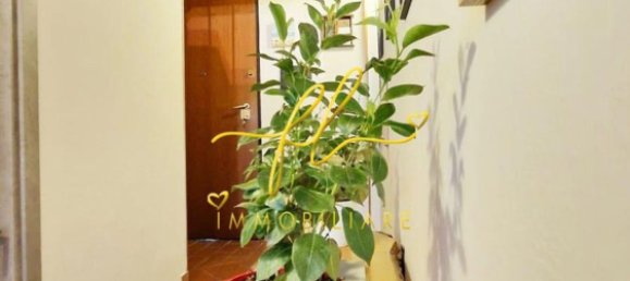 2 rooms Apartment in Livorno, Italy No. 270337 15