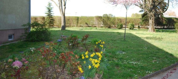 2 rooms Apartment in Auersthal, Austria No. 242226 10