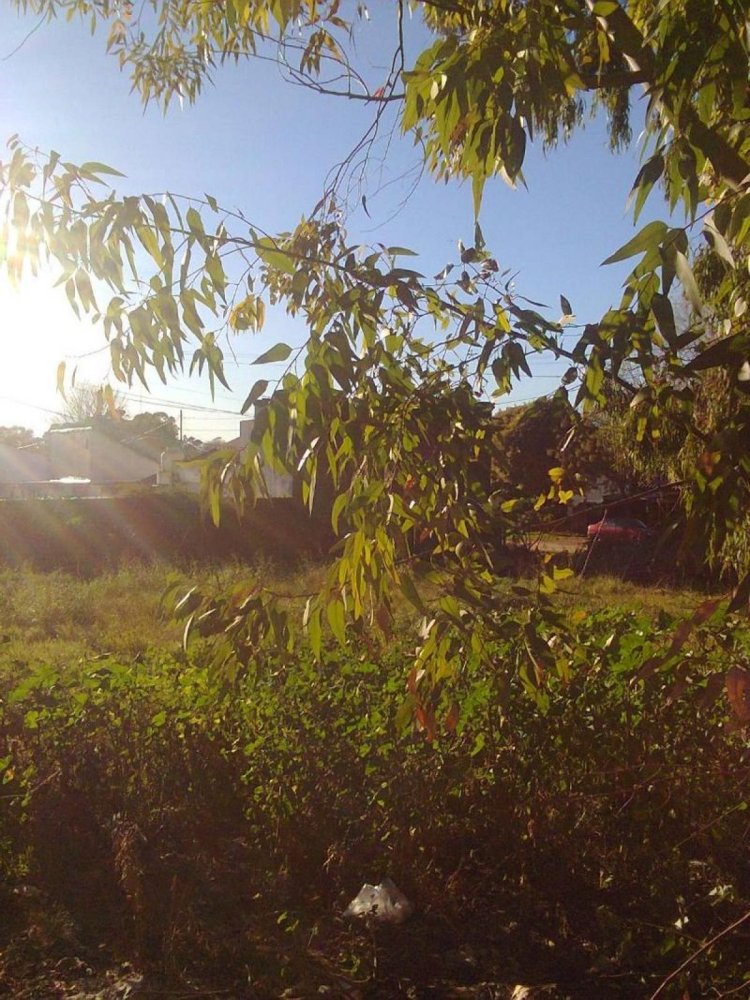  Land in Mar del Plata, Argentina No. 117212