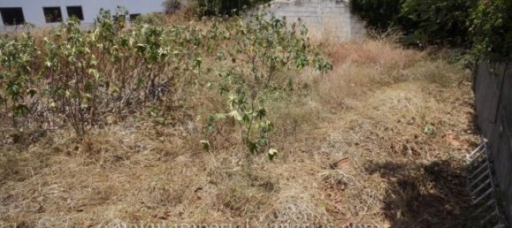 4 غرف نوم منزل في Puerto de la Cruz, Spain رقم 92380 25