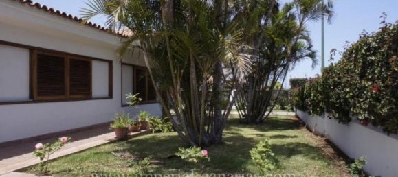 4 غرف نوم منزل في Puerto de la Cruz, Spain رقم 92380 2