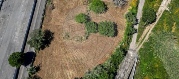 10 bedrooms House in Mafra, Portugal No. 164564 2