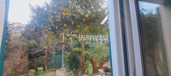 3-Zimmer Wohnung in Sanremo, Italy, Nr. 11637 21