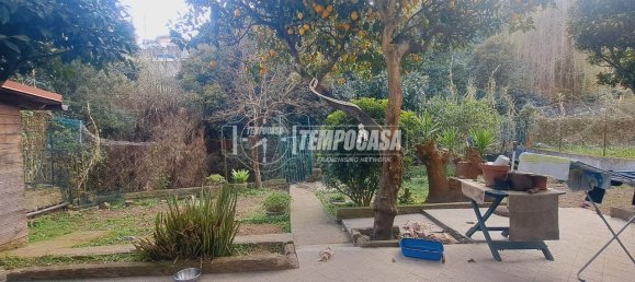 3-Zimmer Wohnung in Sanremo, Italy, Nr. 11637 5