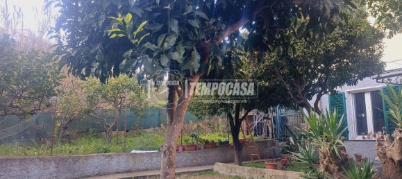 3-Zimmer Wohnung in Sanremo, Italy, Nr. 11637 10