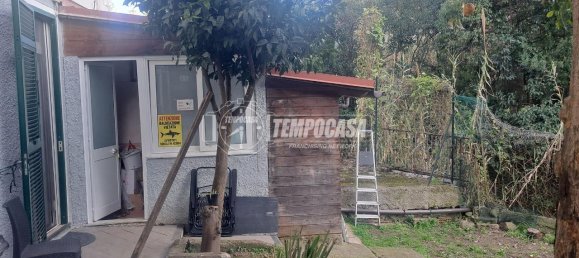 3-Zimmer Wohnung in Sanremo, Italy, Nr. 11637 13