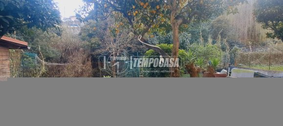 3-Zimmer Wohnung in Sanremo, Italy, Nr. 11637 15