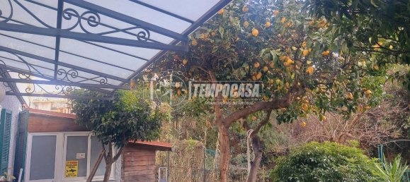 3-Zimmer Wohnung in Sanremo, Italy, Nr. 11637 14