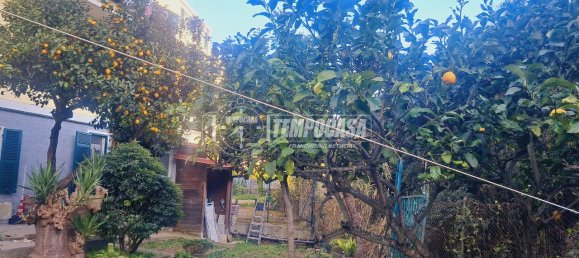 3-Zimmer Wohnung in Sanremo, Italy, Nr. 11637 9