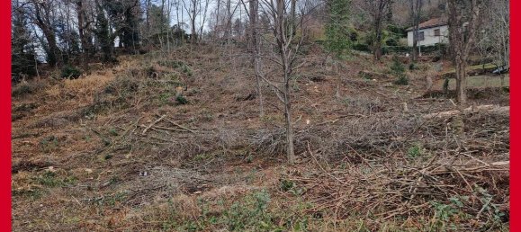 2890m² Land in Orino, Italy No. 228565 7