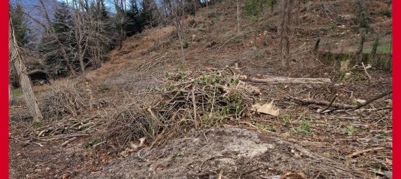 2890m² Land in Orino, Italy No. 228565 10