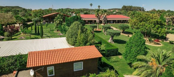 2588m² Commercial property in Abrantes, Portugal No. 50319 34