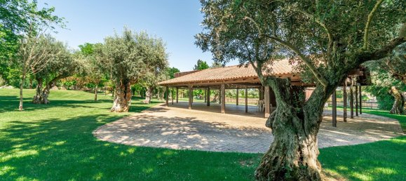 2588m² Commercial property in Abrantes, Portugal No. 50319 16