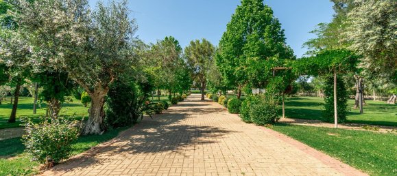 2588m² Commercial property in Abrantes, Portugal No. 50319 12