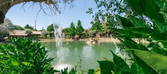 2588m² Commercial property in Abrantes, Portugal No. 50319 20