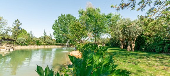 2588m² Commercial property in Abrantes, Portugal No. 50319 19