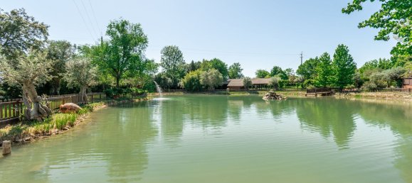 2588m² Commercial property in Abrantes, Portugal No. 50319 18