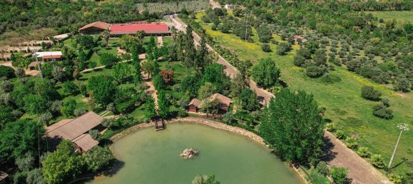 2588m² Commercial property in Abrantes, Portugal No. 50319 32