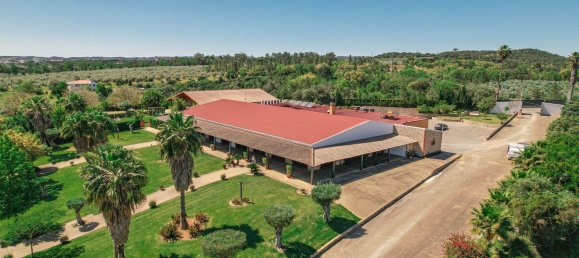 2588m² Commercial property in Abrantes, Portugal No. 50319 33