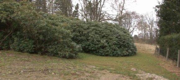 40-Zimmer Villa in Vogtlandkreis, Germany, Nr. 24225 4