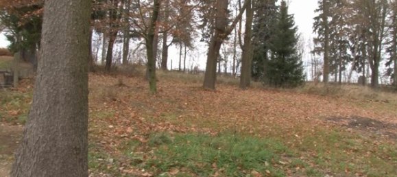 40-Zimmer Villa in Vogtlandkreis, Germany, Nr. 24225 7