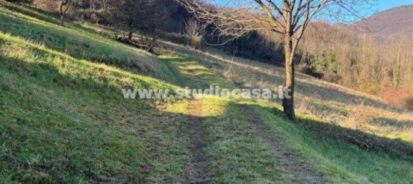 2-Zimmer Haus in Casazza, Italy, Nr. 30334 105