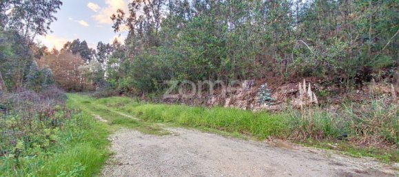  Land in Aveiro, Portugal No. 85276 5