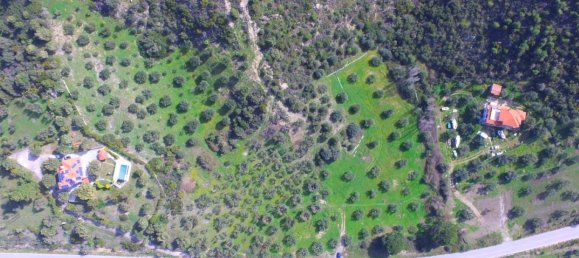 9100m² Hotel in Chalkidiki, Greece No. 4708 6