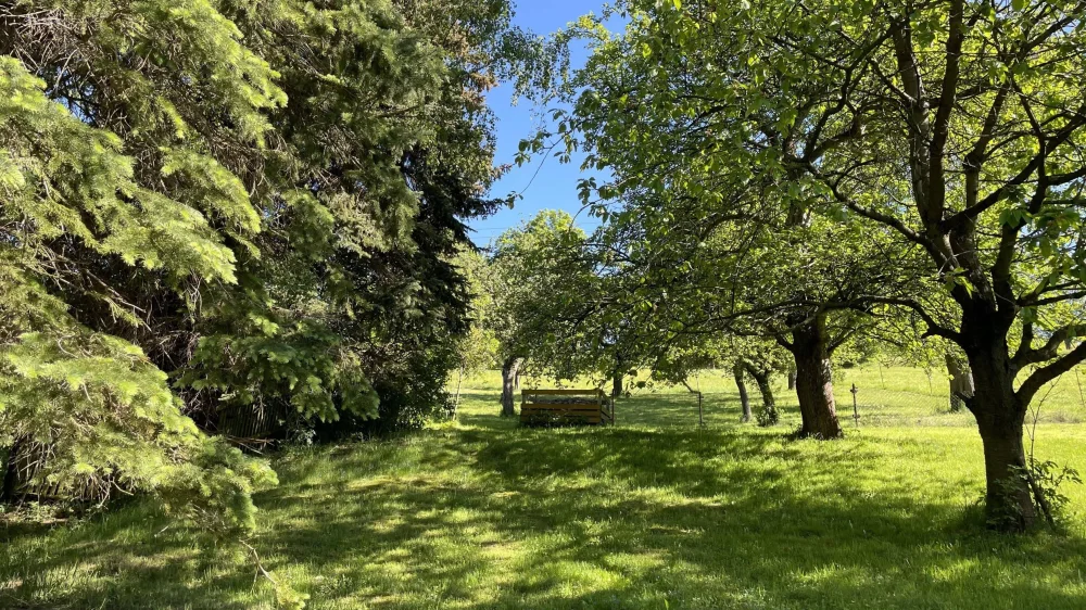 5 rooms House in Sachsische Schweiz-Osterzgebirge, Germany No. 181273