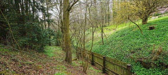 Земельный участок с 6 комнатами в Пуркерсдорф, Австрия № 165365 9