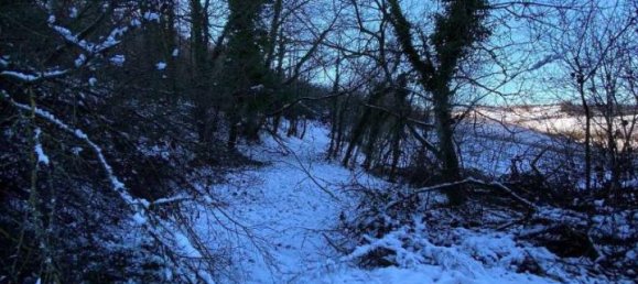 13 rooms House in Agazzano, Italy No. 23630 19