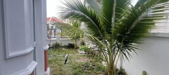 3 bedrooms Cafe / restaurant in Ko Kaeo, Thailand No. 21586 7