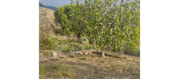 4 chambres Maison à Alcaucin, Spain No. 144830 13