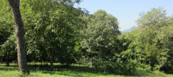 7-Zimmer Villa in Cinto Euganeo, Italy, Nr. 173753 21