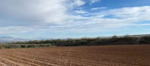 Земельный участок 80000м² в Мораледа-де-Сафайона, Испания № 138902 2