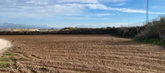 Земельный участок 80000м² в Мораледа-де-Сафайона, Испания № 138902 18