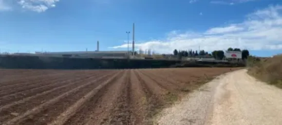 Земельный участок 80000м² в Мораледа-де-Сафайона, Испания № 138902 16