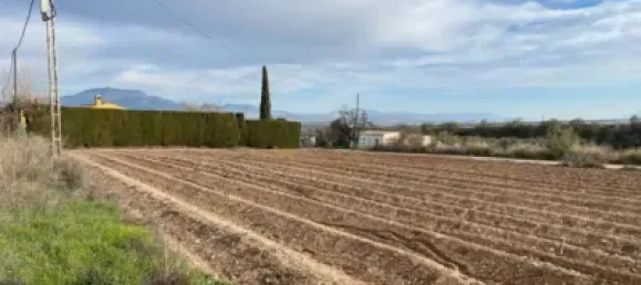 Земельный участок 80000м² в Мораледа-де-Сафайона, Испания № 138902 8