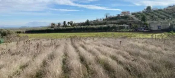 Земельный участок 80000м² в Мораледа-де-Сафайона, Испания № 138902 19