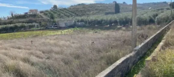 Земельный участок 80000м² в Мораледа-де-Сафайона, Испания № 138902 27